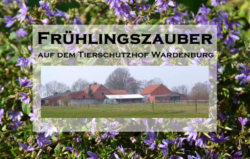Frühlingszauber 2017 Tierschutzhof Wardenburg