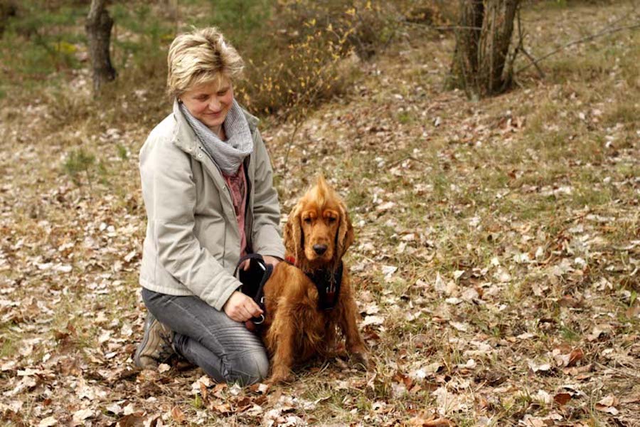 Hundewanderung-brauner-hund-sitzt-neben-frau Tierheimhunde - lustige Truppe geht auf Wanderschaft