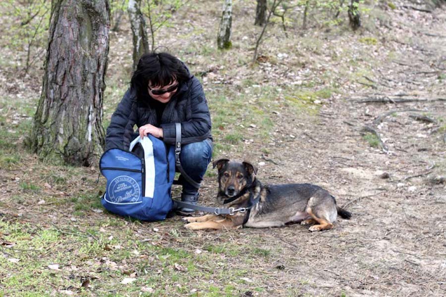 Hundewanderung-frau-schaut-in-rucksack-mit-hund Tierheimhunde - lustige Truppe geht auf Wanderschaft