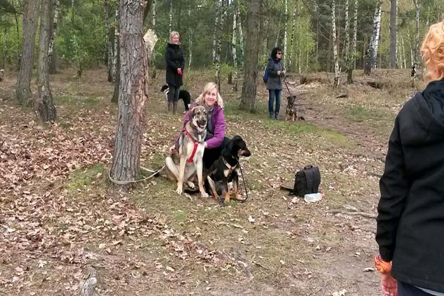Hundewanderung-frau-sitzt-hinter-zwei-hunden Tierheimhunde - lustige Truppe geht auf Wanderschaft