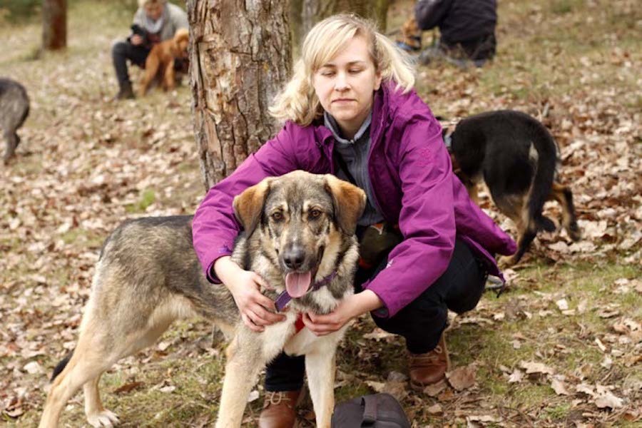Hundewanderung-frau-streichelt-hund-vor-baum Tierheimhunde - lustige Truppe geht auf Wanderschaft