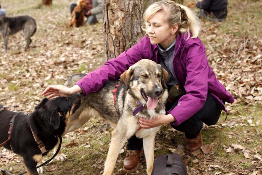 Hundewanderung-frau-streichelt-zwei-hunde Tierheimhunde - lustige Truppe geht auf Wanderschaft