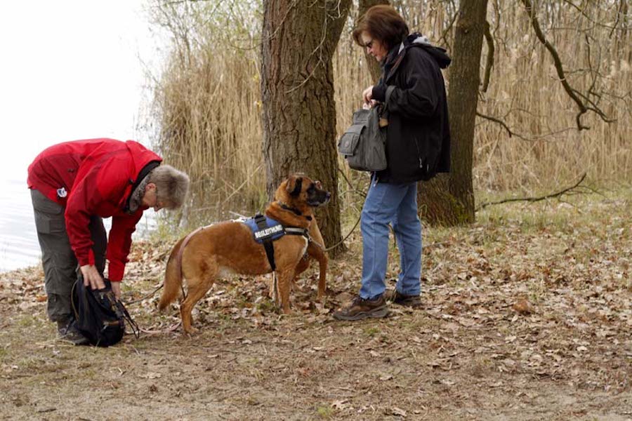 Hundewanderung-frauen-mit-hund-im-wald Tierheimhunde - lustige Truppe geht auf Wanderschaft