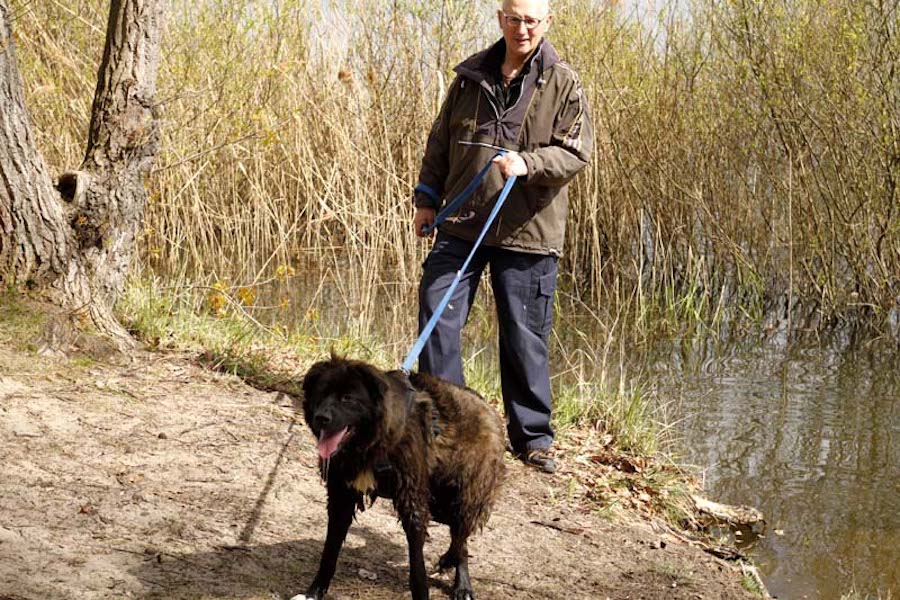 Hundewanderung-hund-an-leine-mit-mann Tierheimhunde - lustige Truppe geht auf Wanderschaft