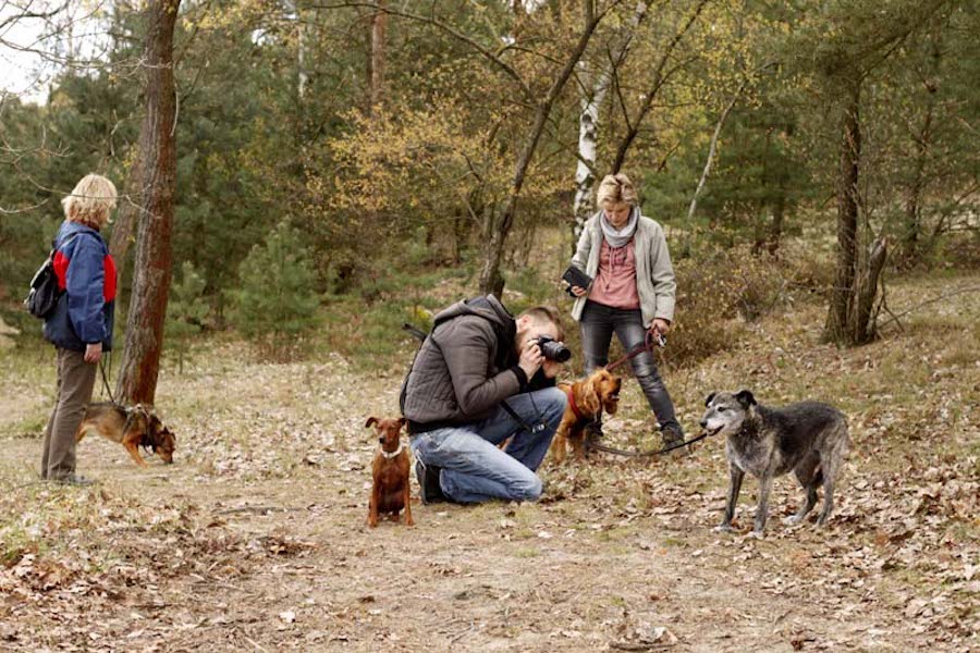 Hundewanderung-mann-fotografiert-hunde-im-wald Tierheimhunde - lustige Truppe geht auf Wanderschaft