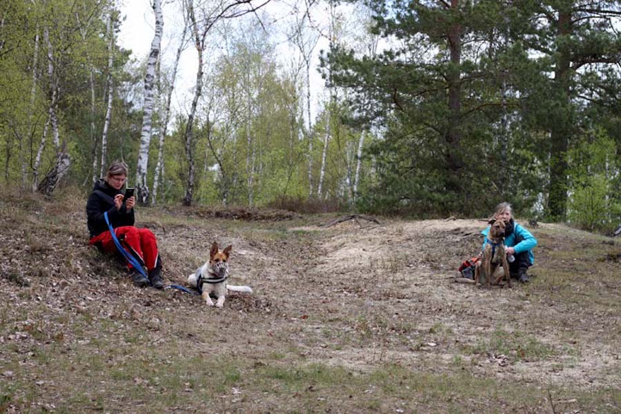 Hundewanderung-zwei-hunde-mit-frau-im-wald Tierheimhunde - lustige Truppe geht auf Wanderschaft