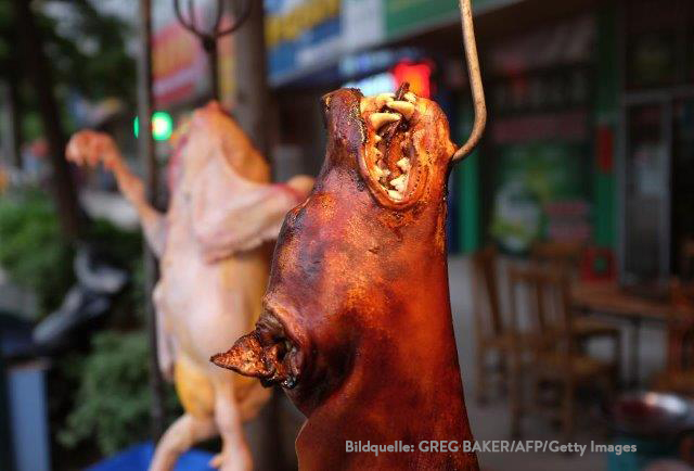 china-hunde-essen-haken Werden nun doch wieder Hunde gegessen? -  Chinesisches Yulin-Festival