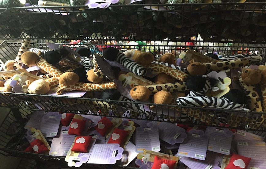 Tierschutz-shop-katzenspielzeug Tierschutz Shop - Neueröffnung zu unserem Tierheimfest
