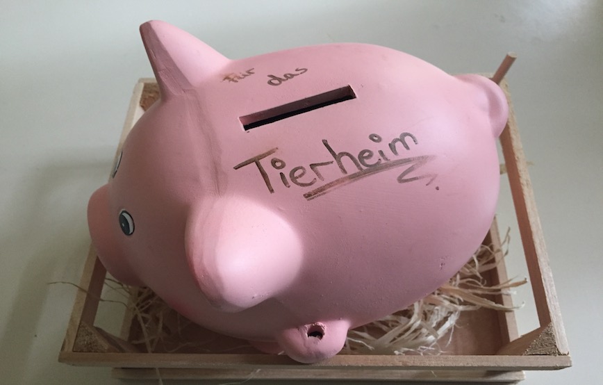 sparschwein-für-das-tierheim Auf Geschenke verzichtet und damit Gutes getan