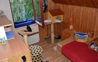 katzenstation-muenchen-katzenzimmer Unterstützen Sie die Katzenstation München