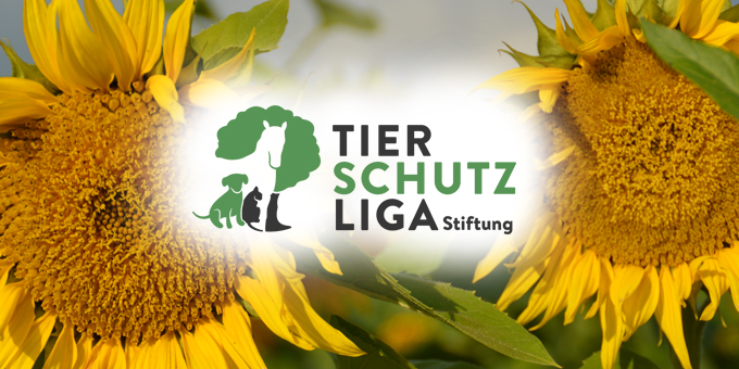 wersindwir-2 Über uns