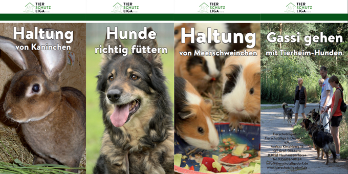 Broschueren Infothek
