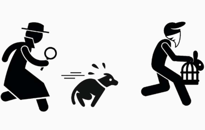 beitragsbild-detektive Laufende Tierschutz-Projekte