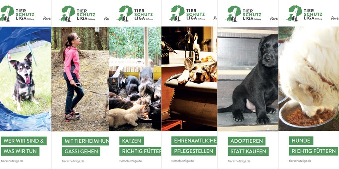 beitragsbild-handzettel Infothek