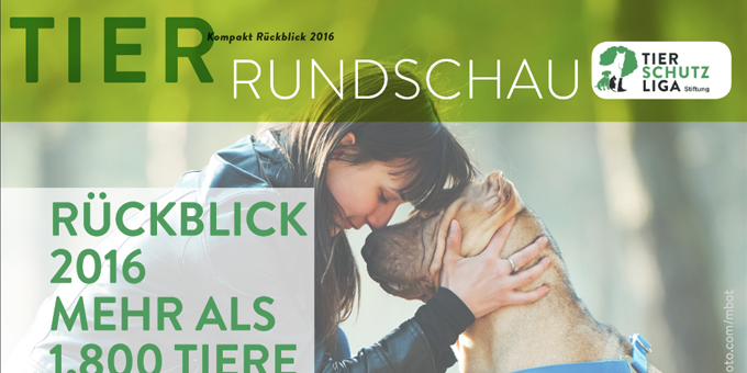 beitragsbild-tr-kompakt Infothek