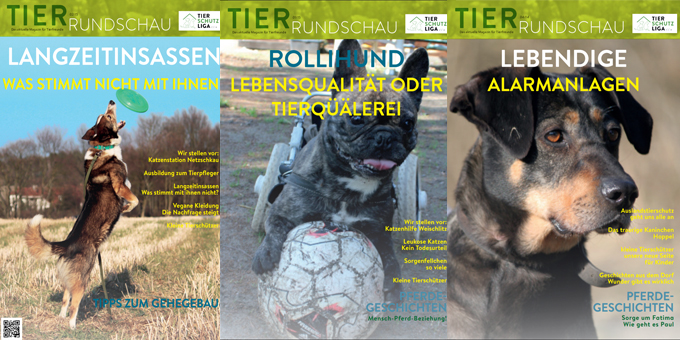 tierrundschau Infothek