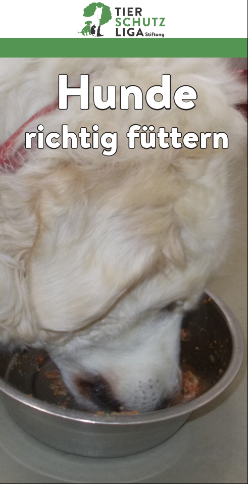 Hundefuettern_deck Glücklich vermittelt - Tierschutzliga Dorf Neuhausen