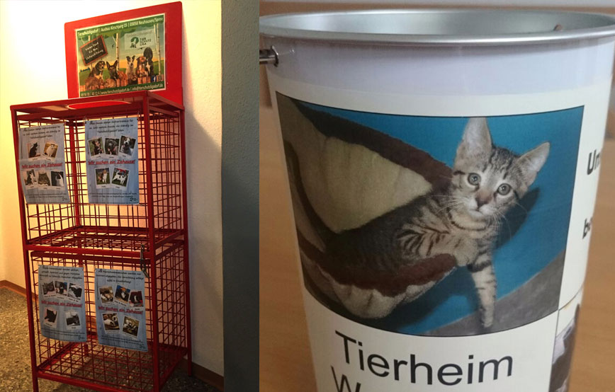 beitragsbild spendendose futterbox