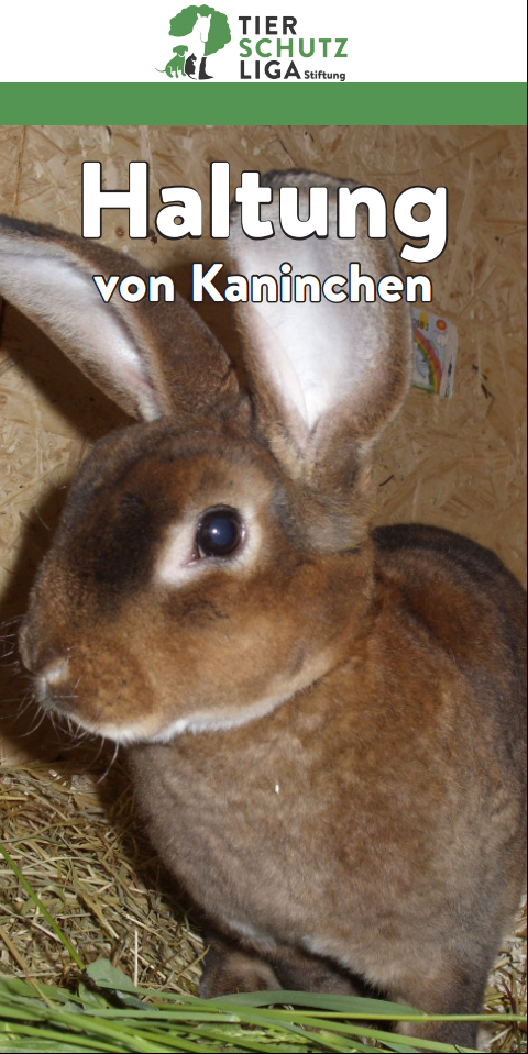 Haltung_Kaninchen_deck Glücklich vermittelt - Tierschutzliga Dorf Neuhausen