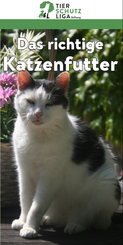 Katzenfuettern_deck Glücklich vermittelt - Tierschutzliga Dorf Neuhausen