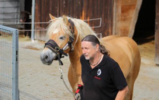 Pferd mit mann vor scheune