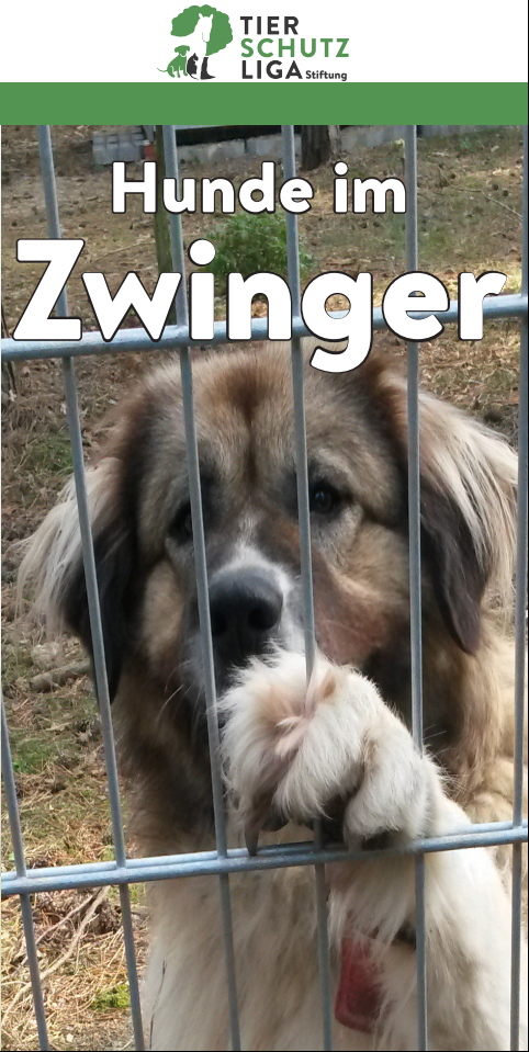 Zwingerhund_deck Glücklich vermittelt - Tierschutzliga Dorf Neuhausen