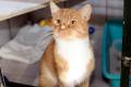 02260_Fredy_1