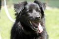 02261_Dessa_1