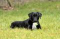 02328_Bounty_1