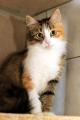 02348_Meggy_1