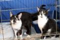 02353_Uletta & Ulrike_1