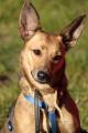 02361_Atena_1