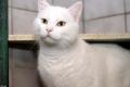 02363_Muzel_1