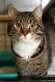 02368_Timmy_1