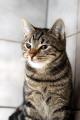 02369_Little Richard_1