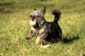 02381_Benny_1