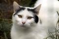 02383_Artur_1