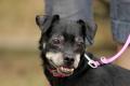02396_Tootsie_1