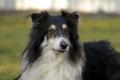 02403_Liss_1