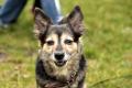 02431_Finni_1