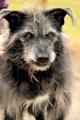 02433_Amigo_1