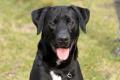 02434_Buddy_1