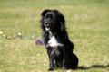 02466_Socke_1