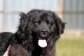 02495_Baboo_1