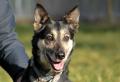 02499_Jenny_1