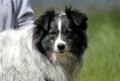 02513_Cindy_1