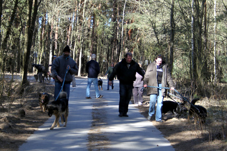 Hundewanderung-2011 9 knubbelige Hundewelpen suchen ein Zuhause