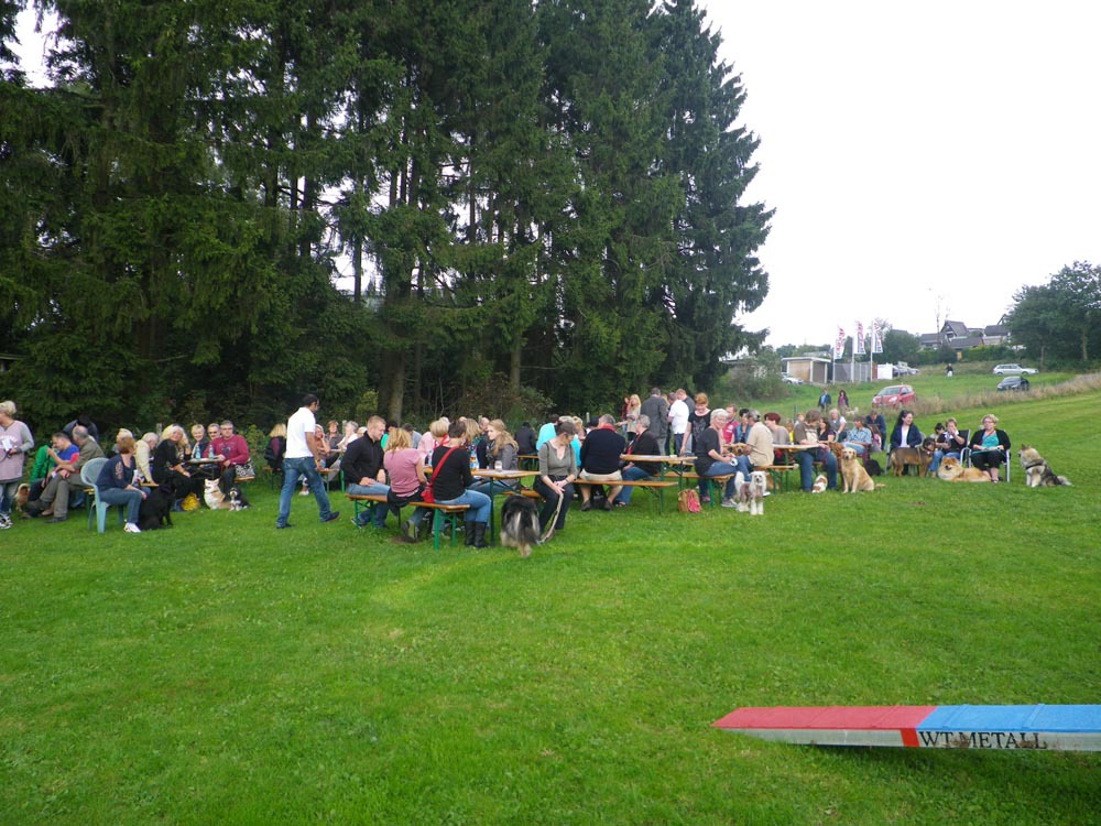 Open-Air-Gottesdienst2 9 knubbelige Hundewelpen suchen ein Zuhause