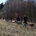 hw100012-150x150 Tierheim-Hundewanderung 2011