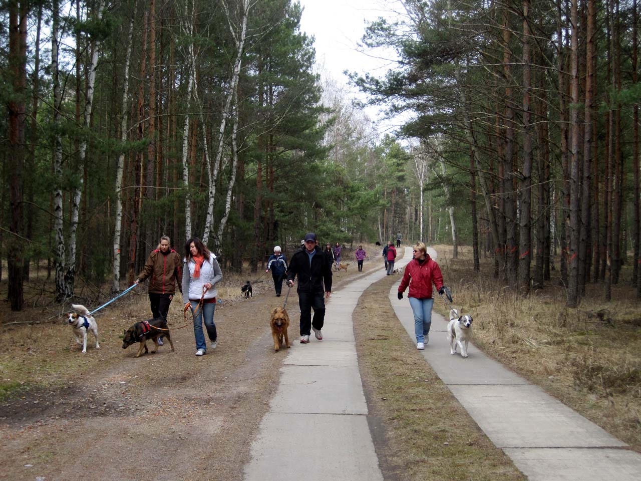 hw200002 Ein ganz normaler Monat im Tierschutzliga-Dorf